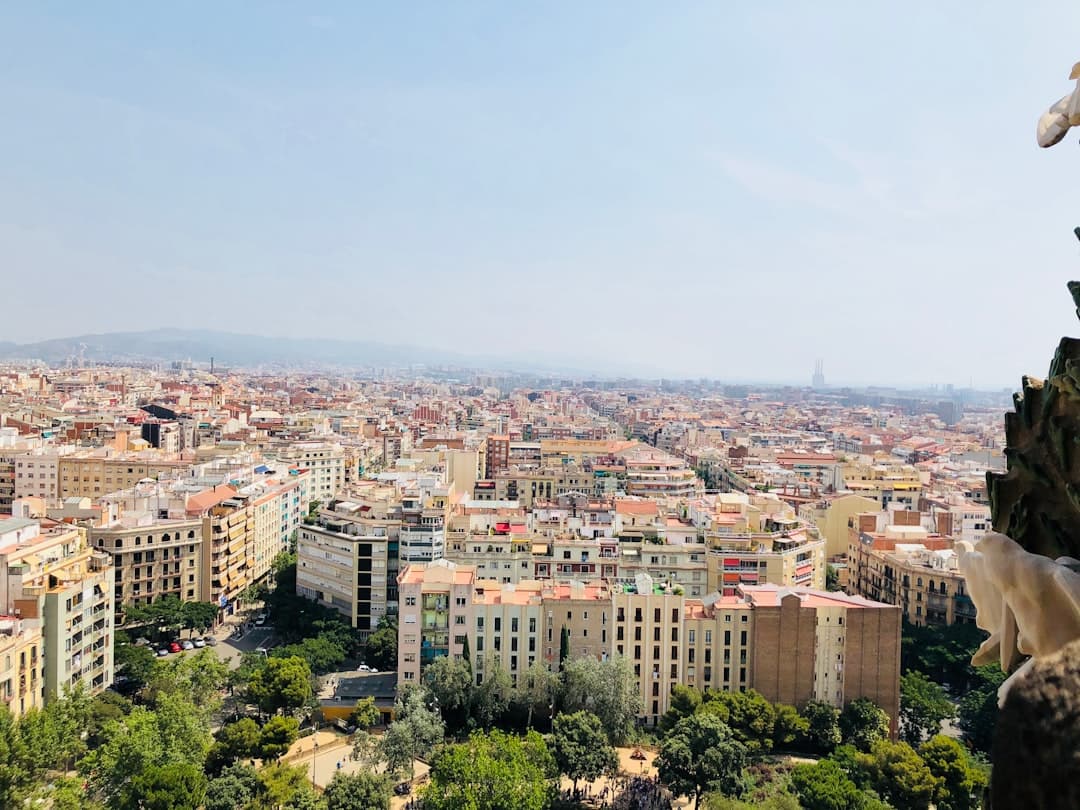 Tours and activities in Barcelona